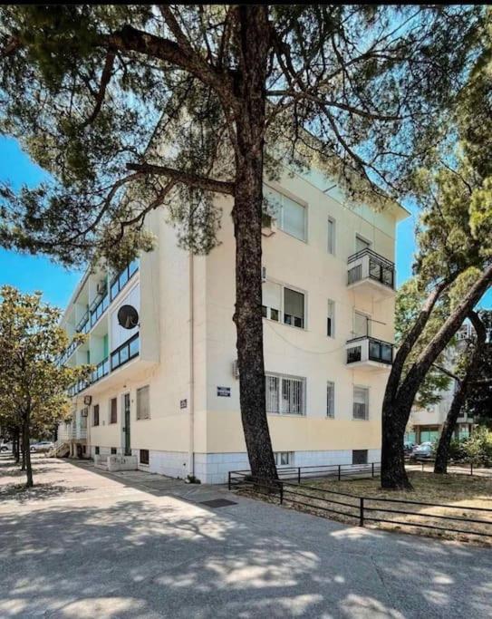 Apartment Music-Center, In The Center Of Podgorica Bagian luar foto