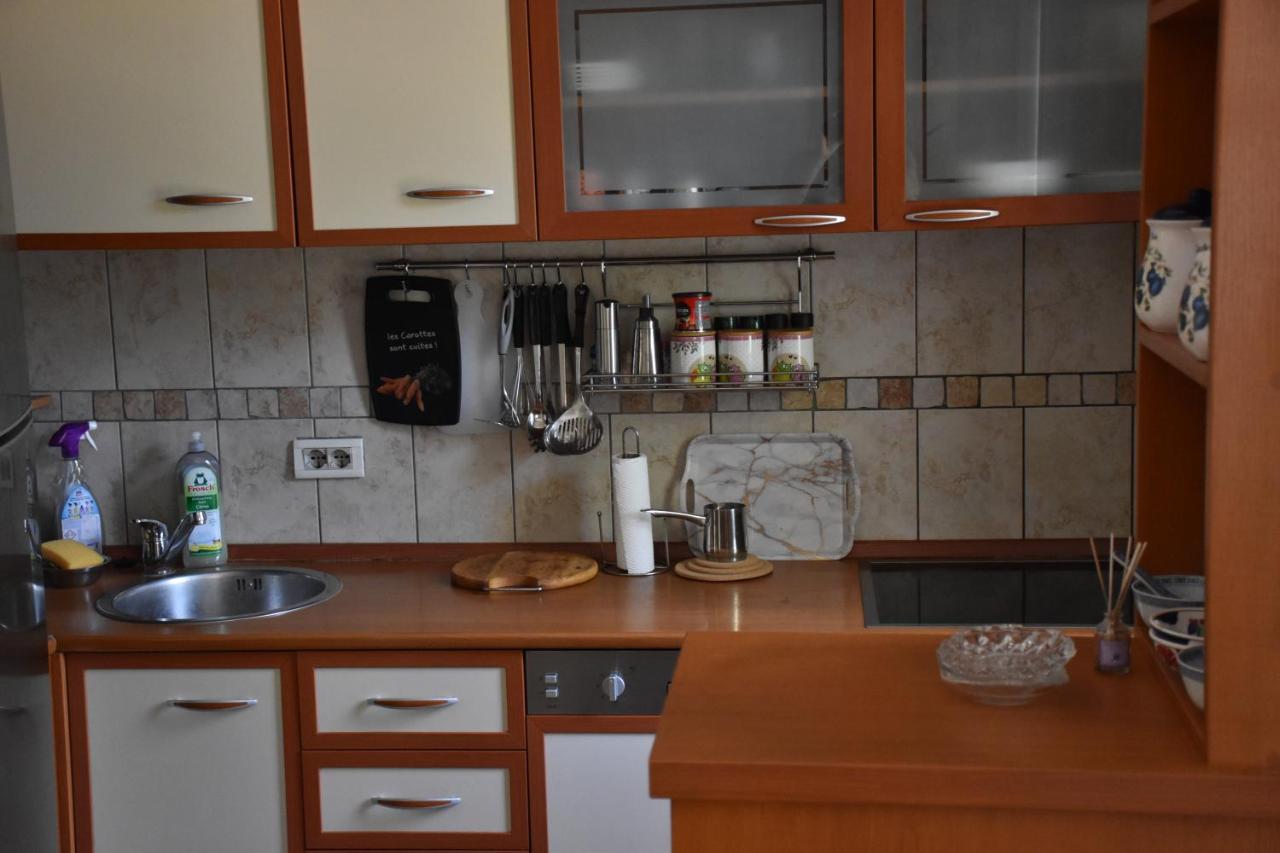 Apartment Music-Center, In The Center Of Podgorica Bagian luar foto